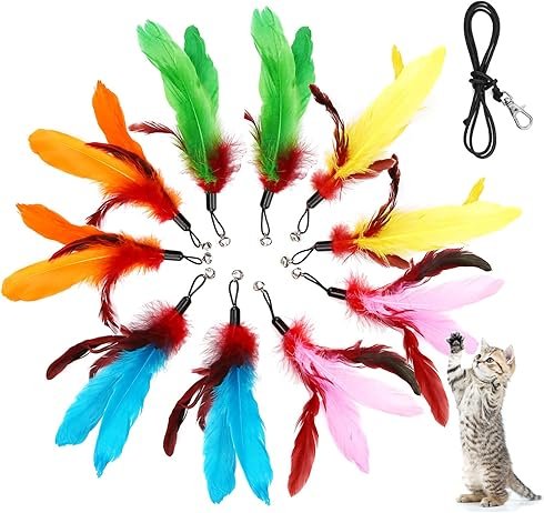 Cat Feather Toy Refills 11-Pack
